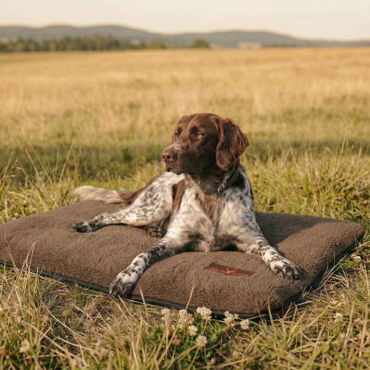 Thermo-Hundebett aus Faserpelz