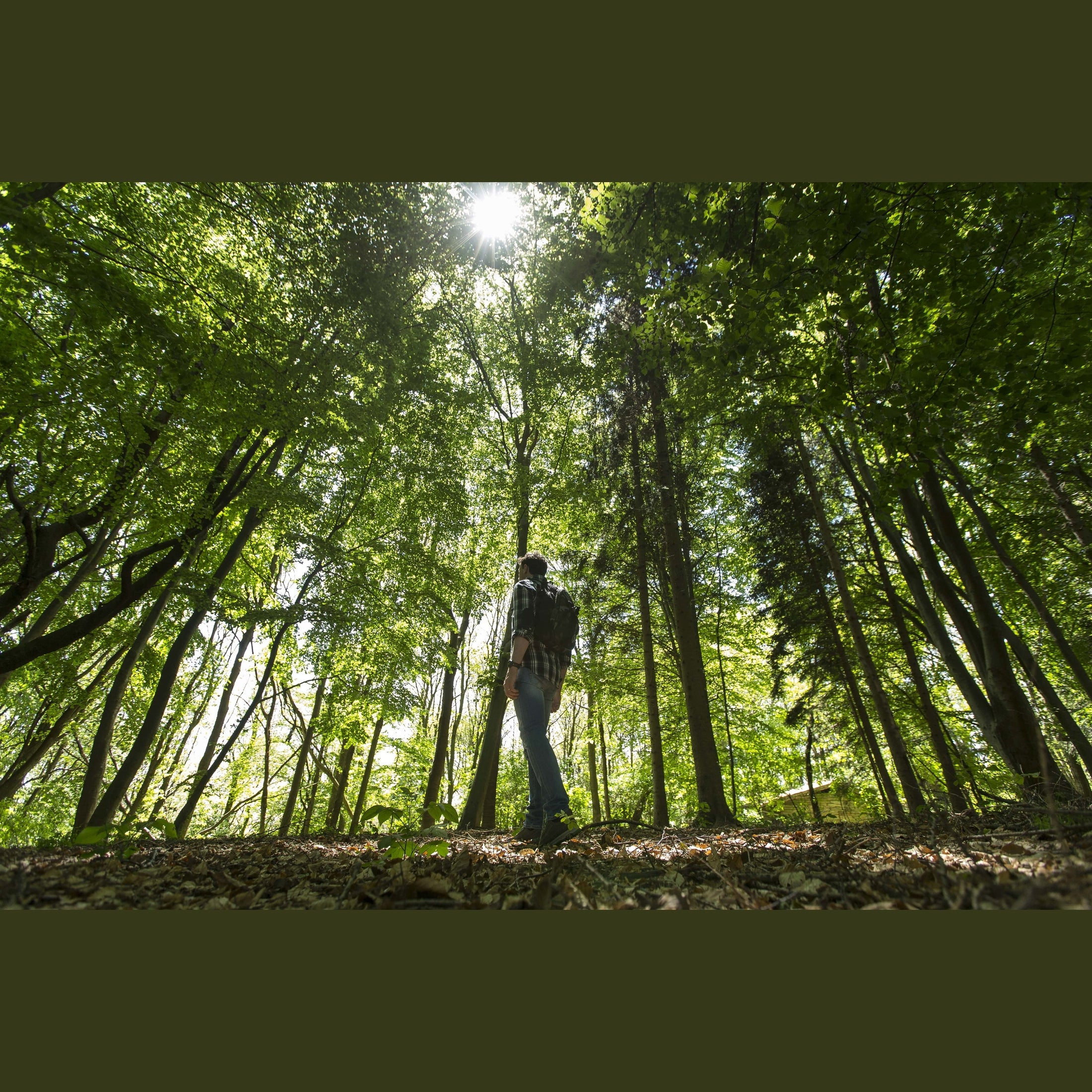 Vielseitige Anti-Zecken-Socken