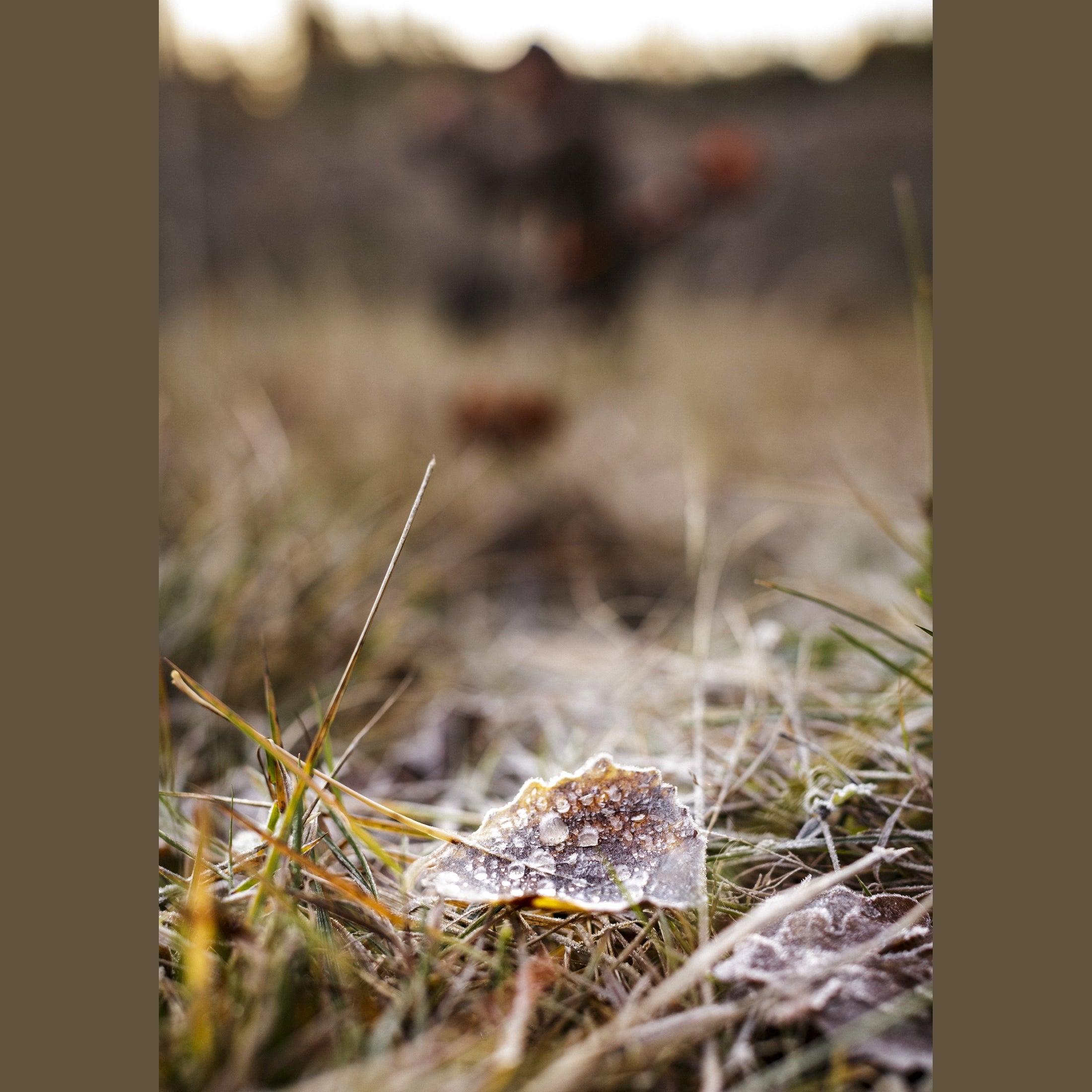 Naturkautschuk-Gummistiefel "Brest"