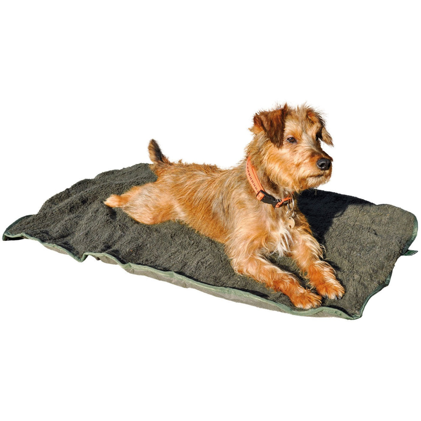 Practical Outdoor Dog Bed | 100 x 70 cm | Olive