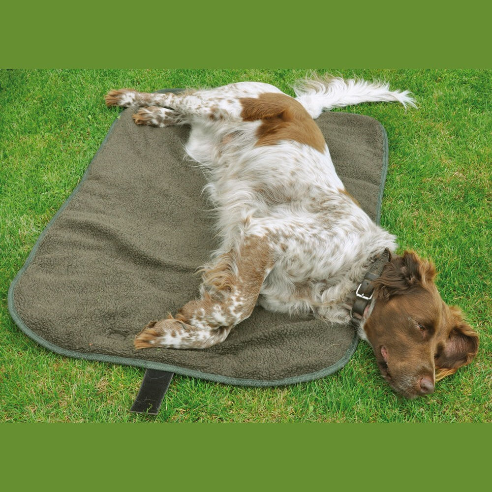 Practical Outdoor Dog Bed | 100 x 70 cm | Olive
