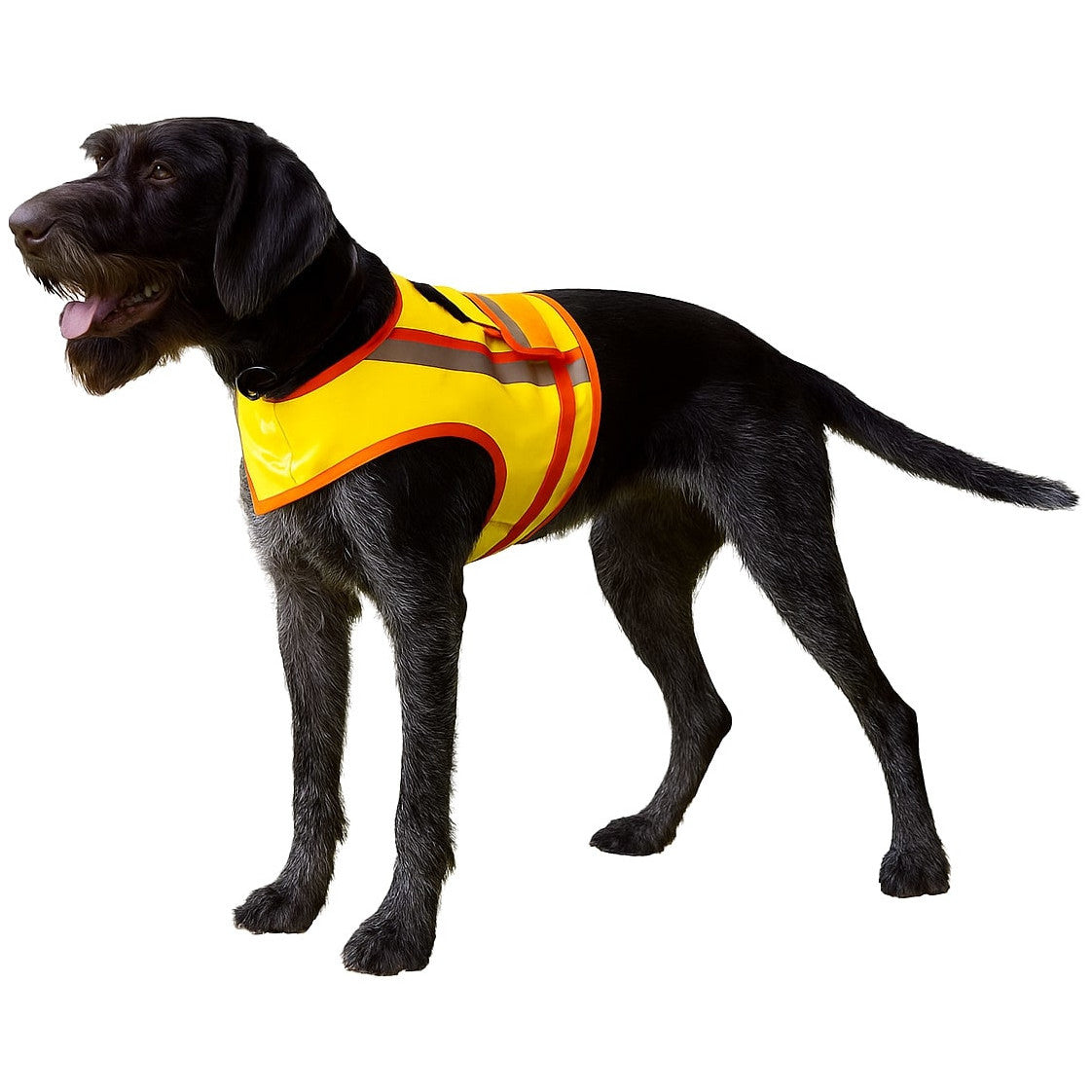 Reflective Vest for Hunting Dogs
