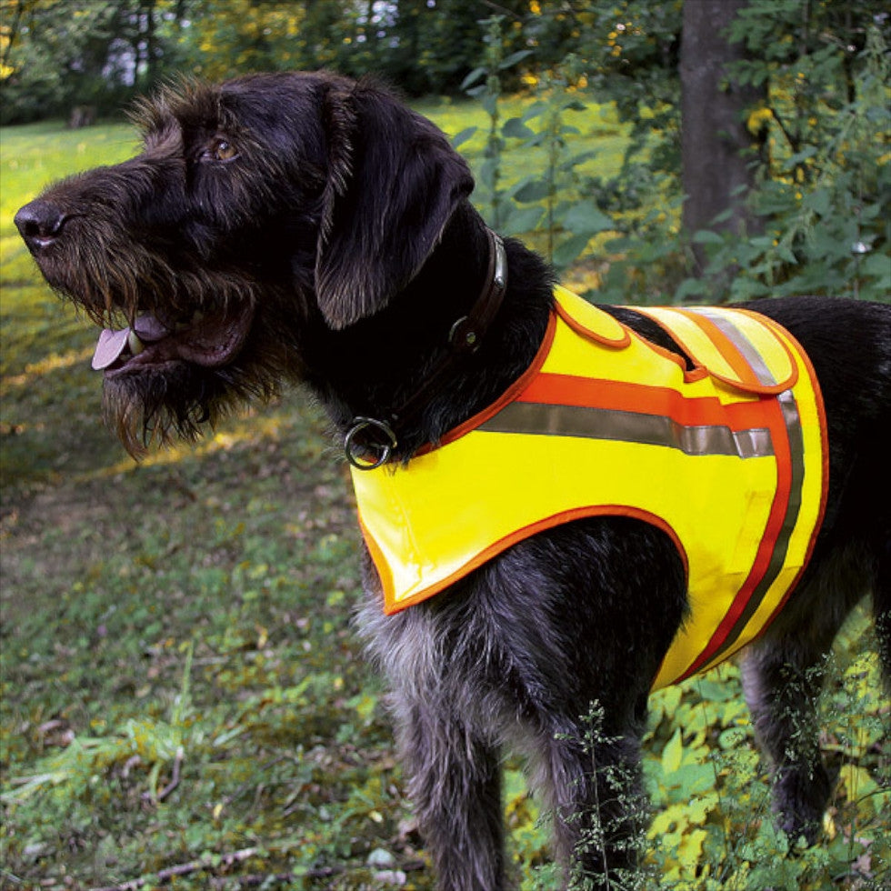 Reflective Vest for Hunting Dogs